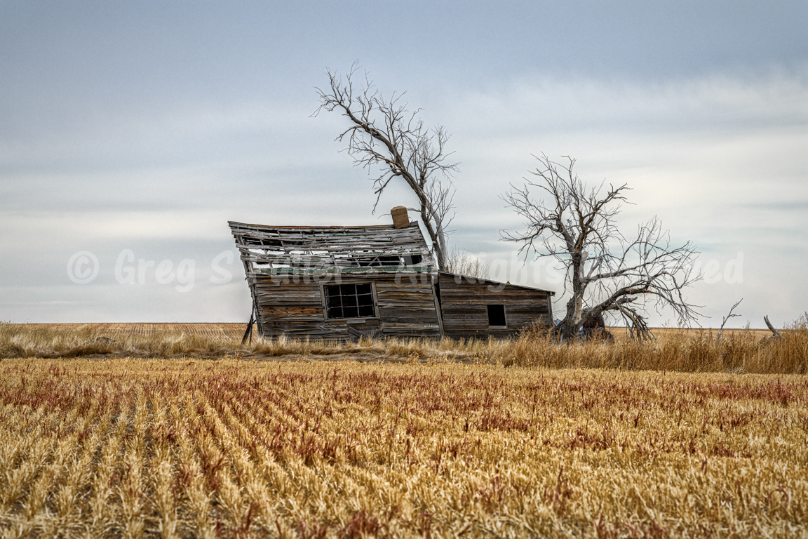 Prairie Leaner - Logan County, Colorado