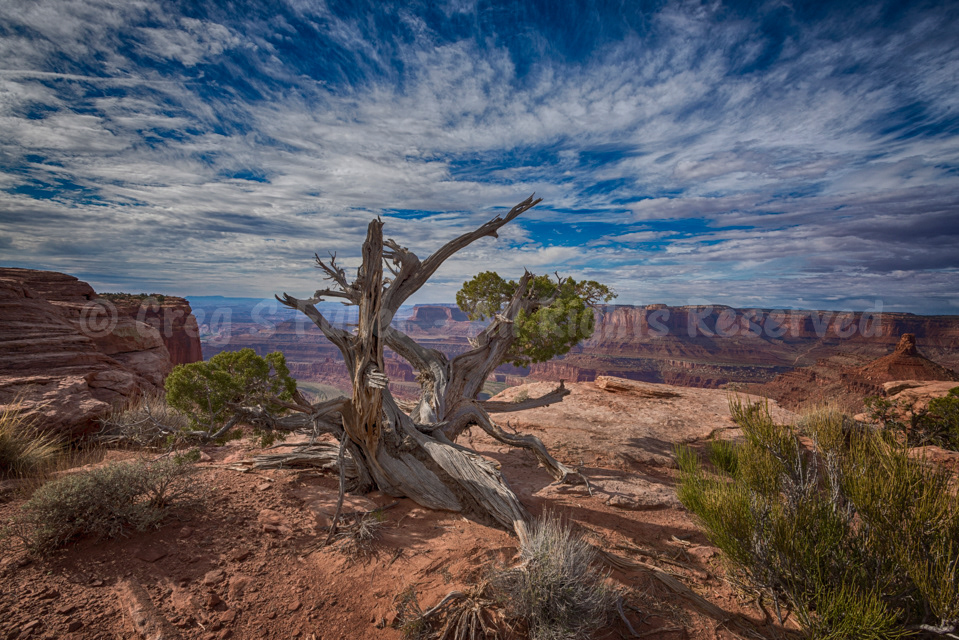 Views from Deadhorse State Park - near Moab, Utah