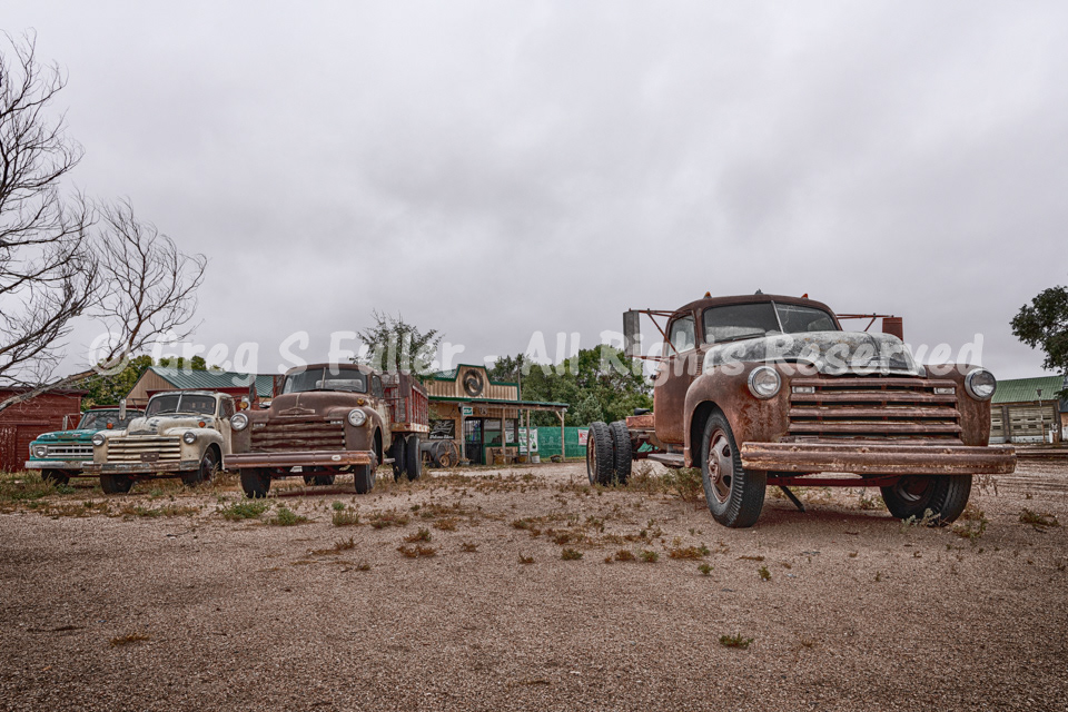 Old Retired Chevy Farm Trucks - Venango, Nebraska