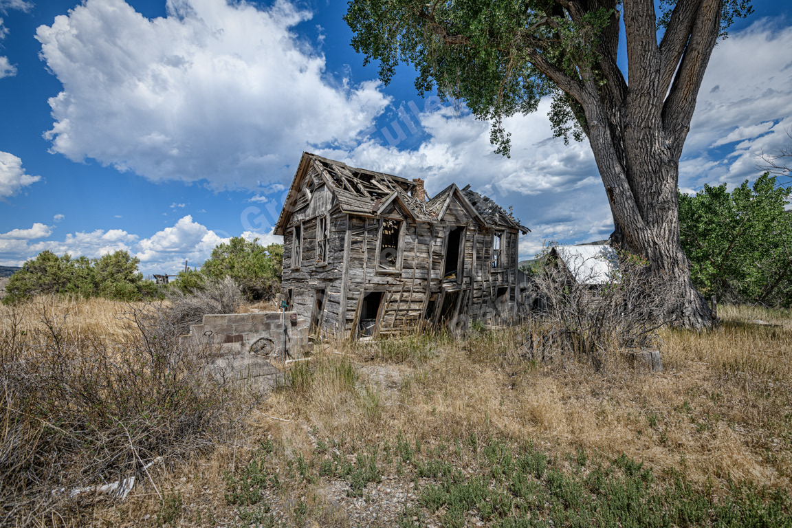 Bearing the Weight of Time