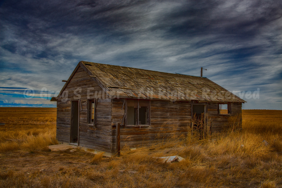 Prairie Life - Northeastern Plains of Colorado