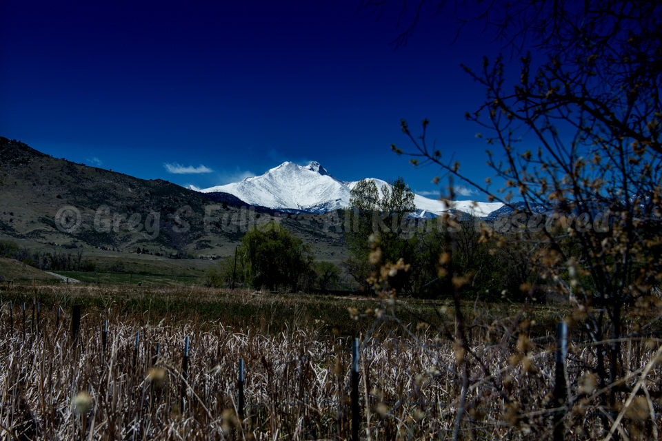 Spring Time Along the Front Range of the Rockies - Hygiene, Colorado