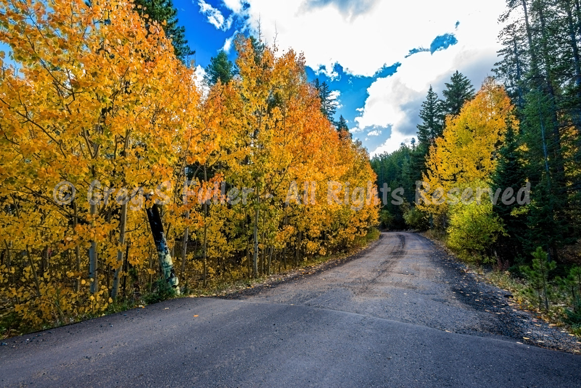 A Path to the Fall Color - Colorado Rocky Mountains
