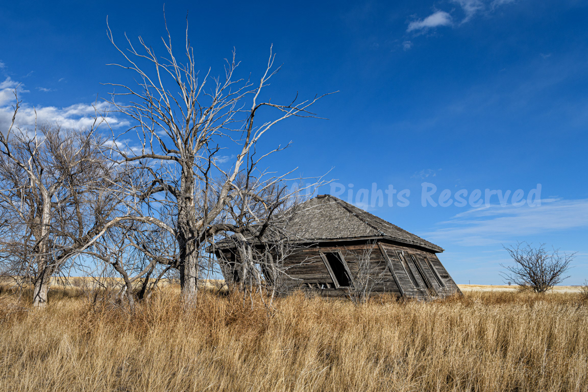 A Laid Back Farmhouse - Weld County, Colorado