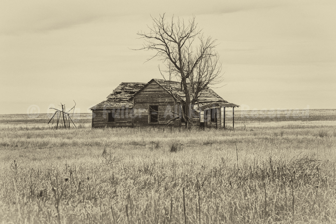 Well Weathred Wood - Weld County, Colorado
