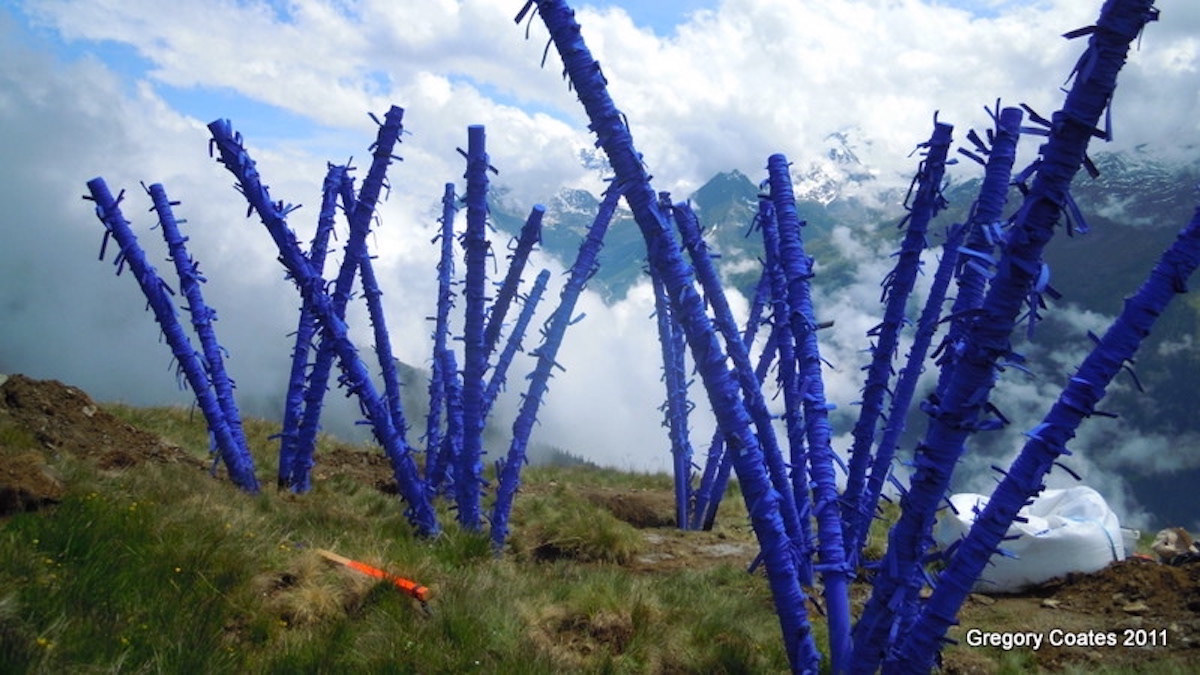 Gregory Coates, Fences, PVC, Rubber and paint, 180 x 180 x 5 in, 2011