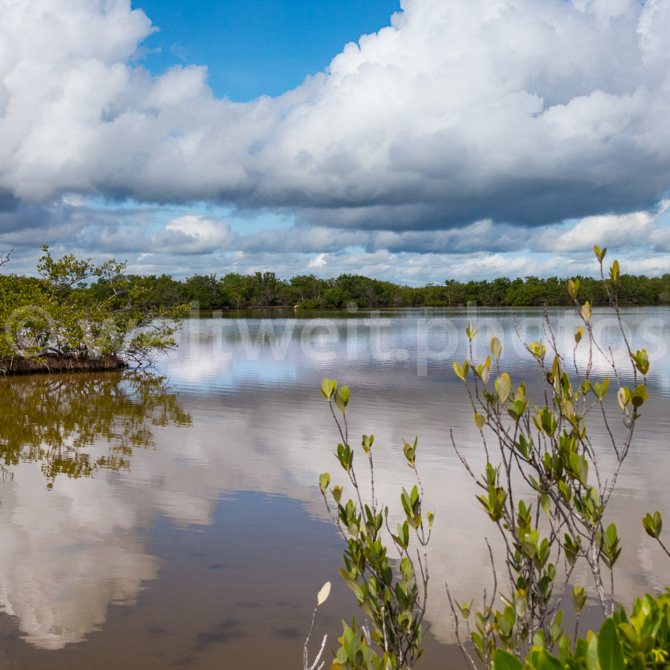 Nationalpark. Las Salina, Kuba