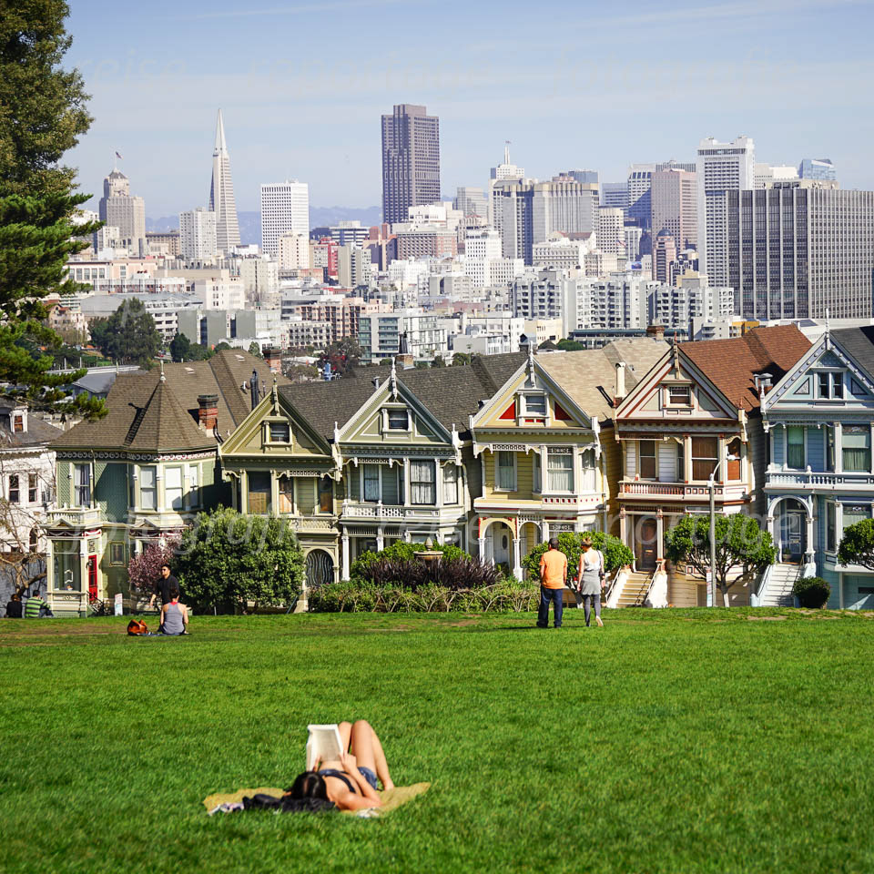 Painted Ladies. San Francisco. USA