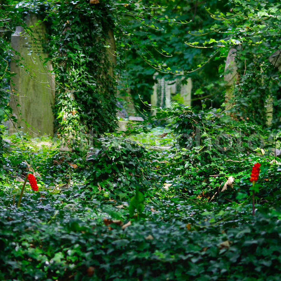 Highgate Cemetery. London