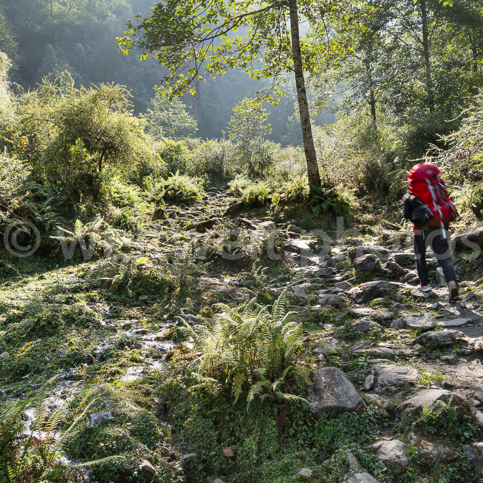 Trekkingtour. Himalaya, Nepal