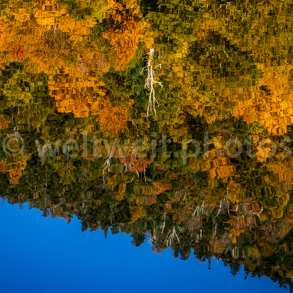 See, White Mountains, USA