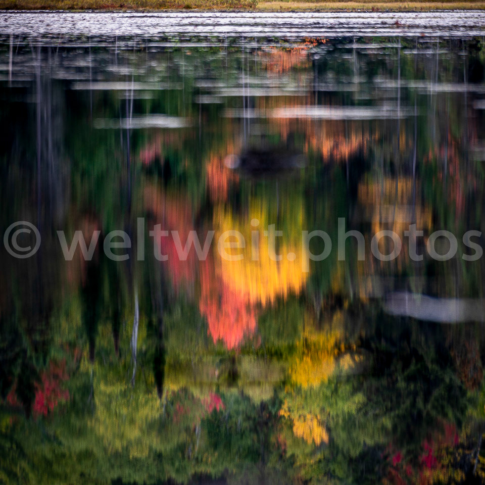 See, Algonquin Park, Kanada