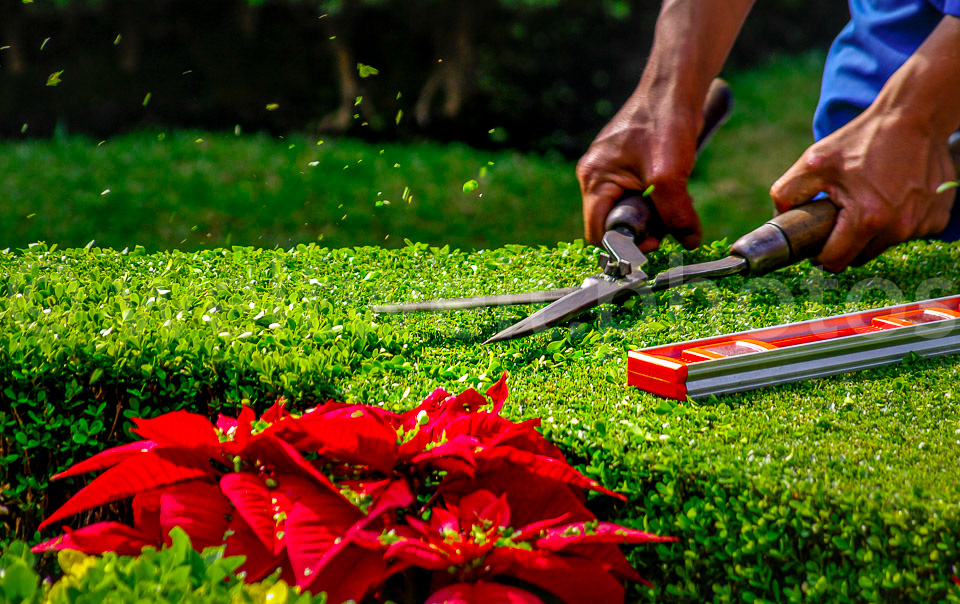 Bosque de Chapultepec, Mexiko-City