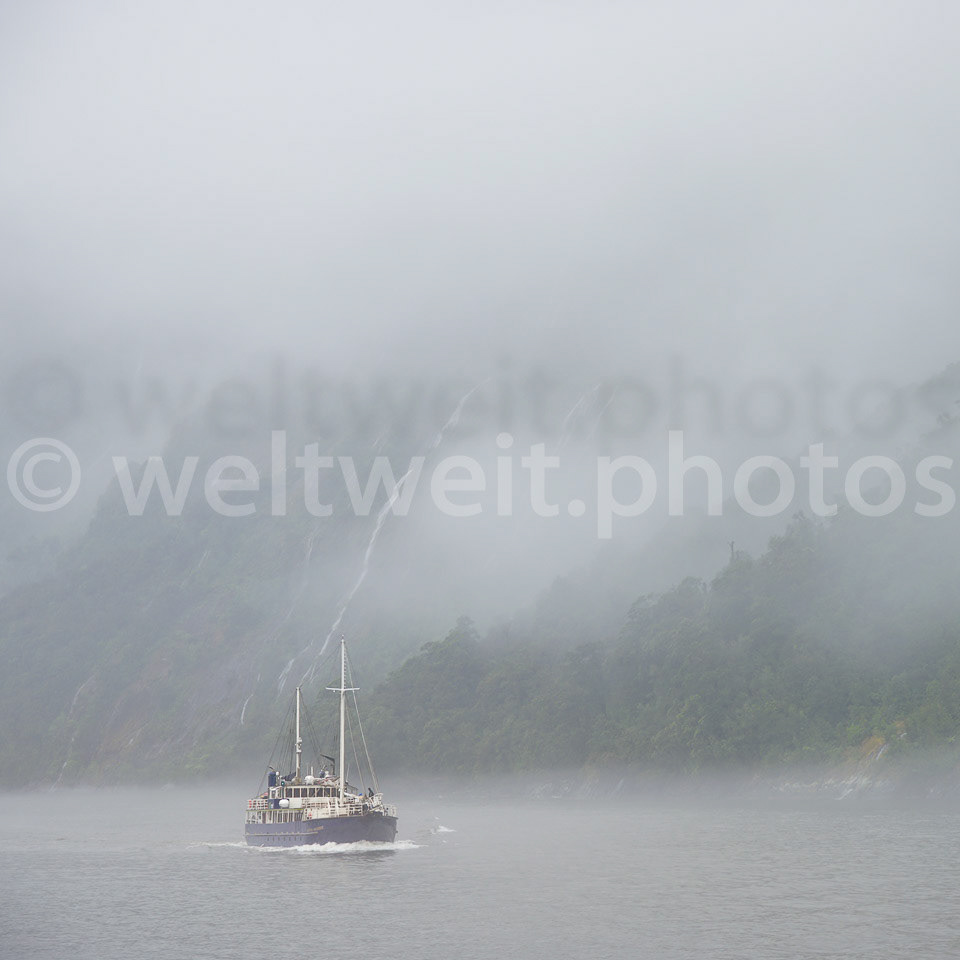Nebelfahrt. Milford Sound, Neuseeland (Süd)