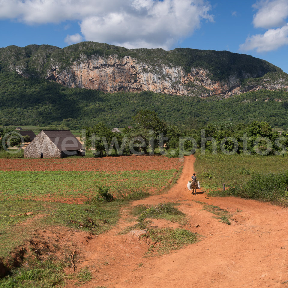 Vinales-Tal. Kuba