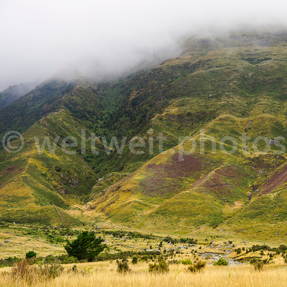 Landschaft. Neuseeland (Süd)