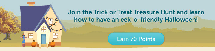 Digital Display Ad