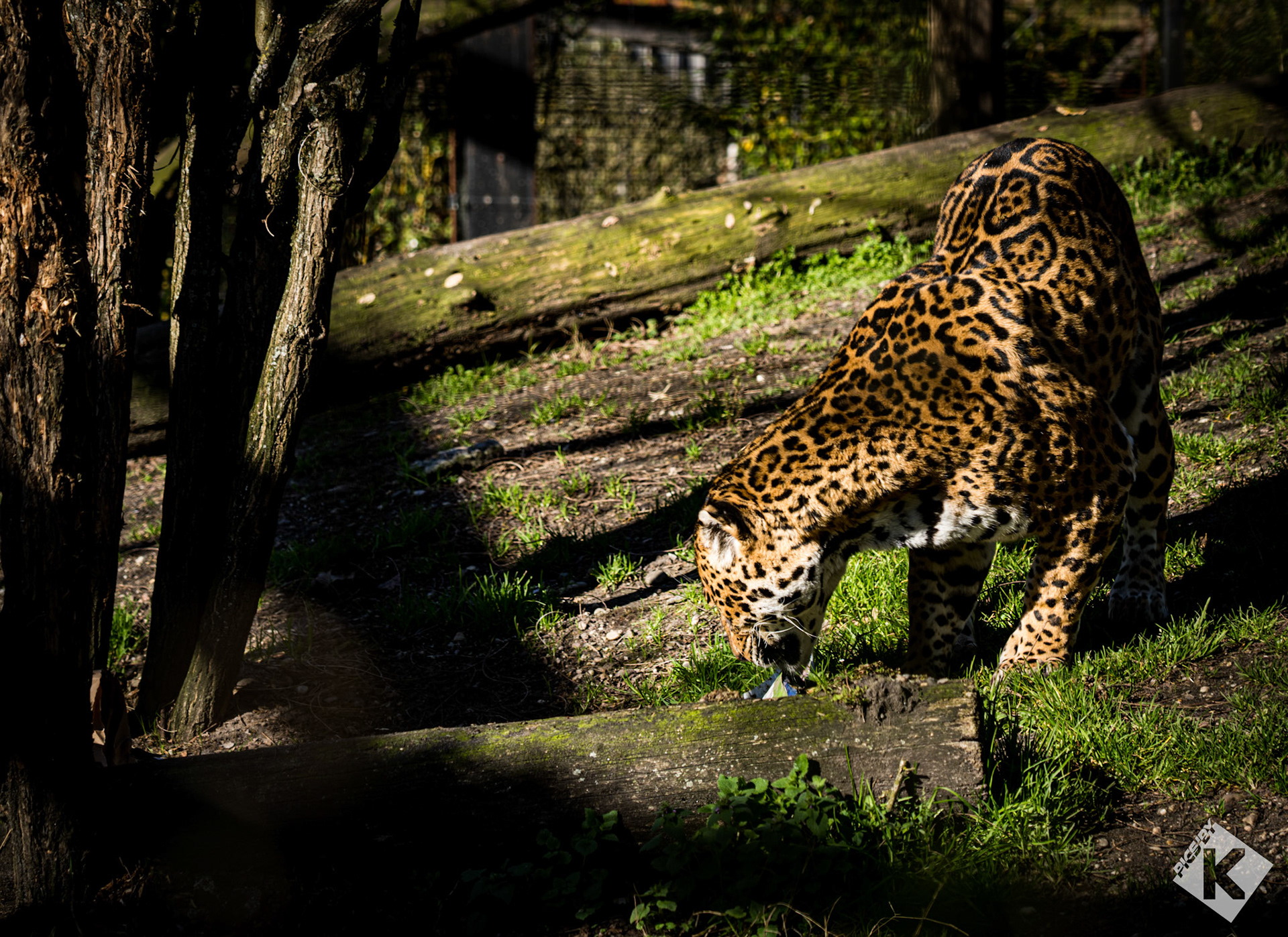 Zoo de Pessac