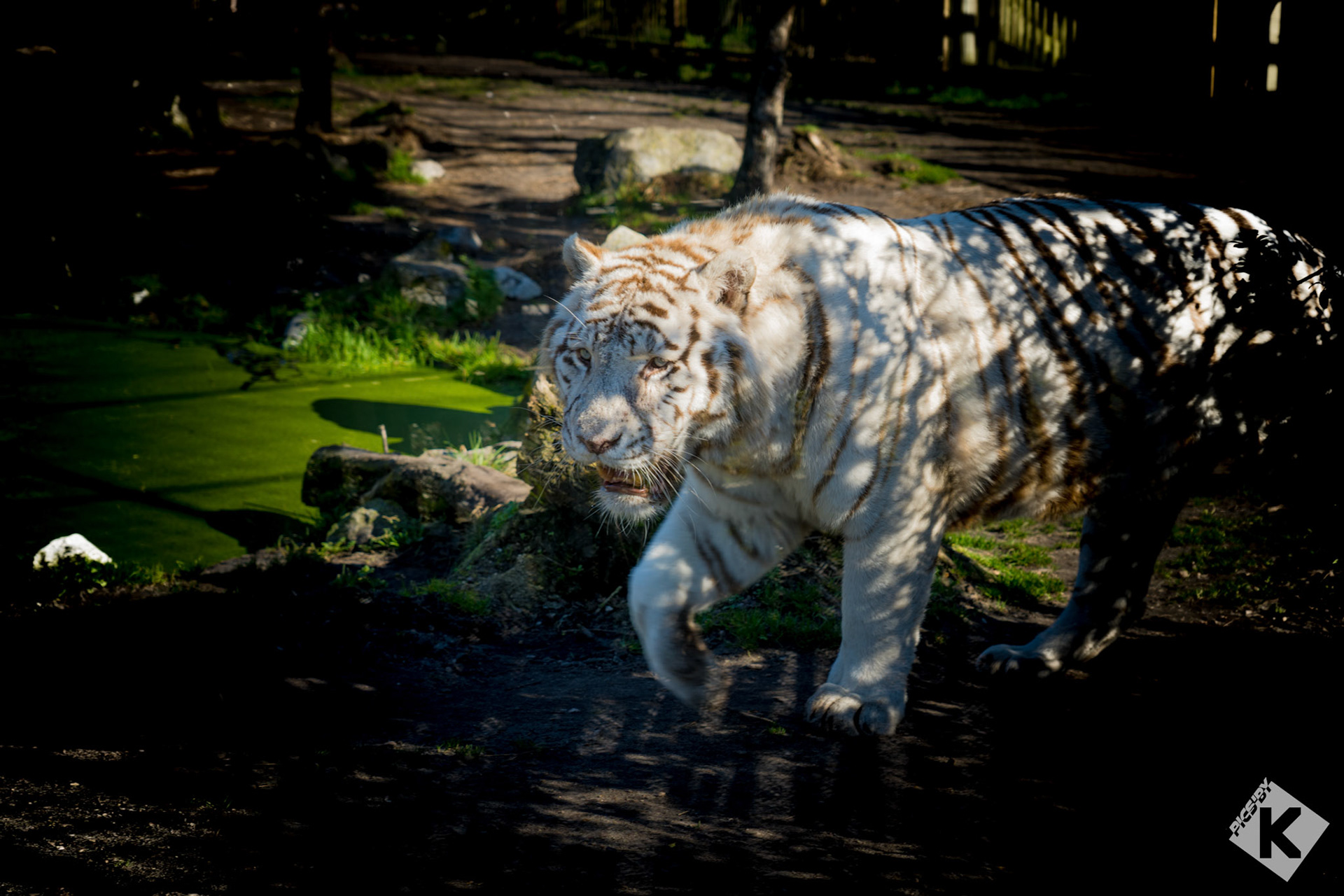 Zoo de Pessac