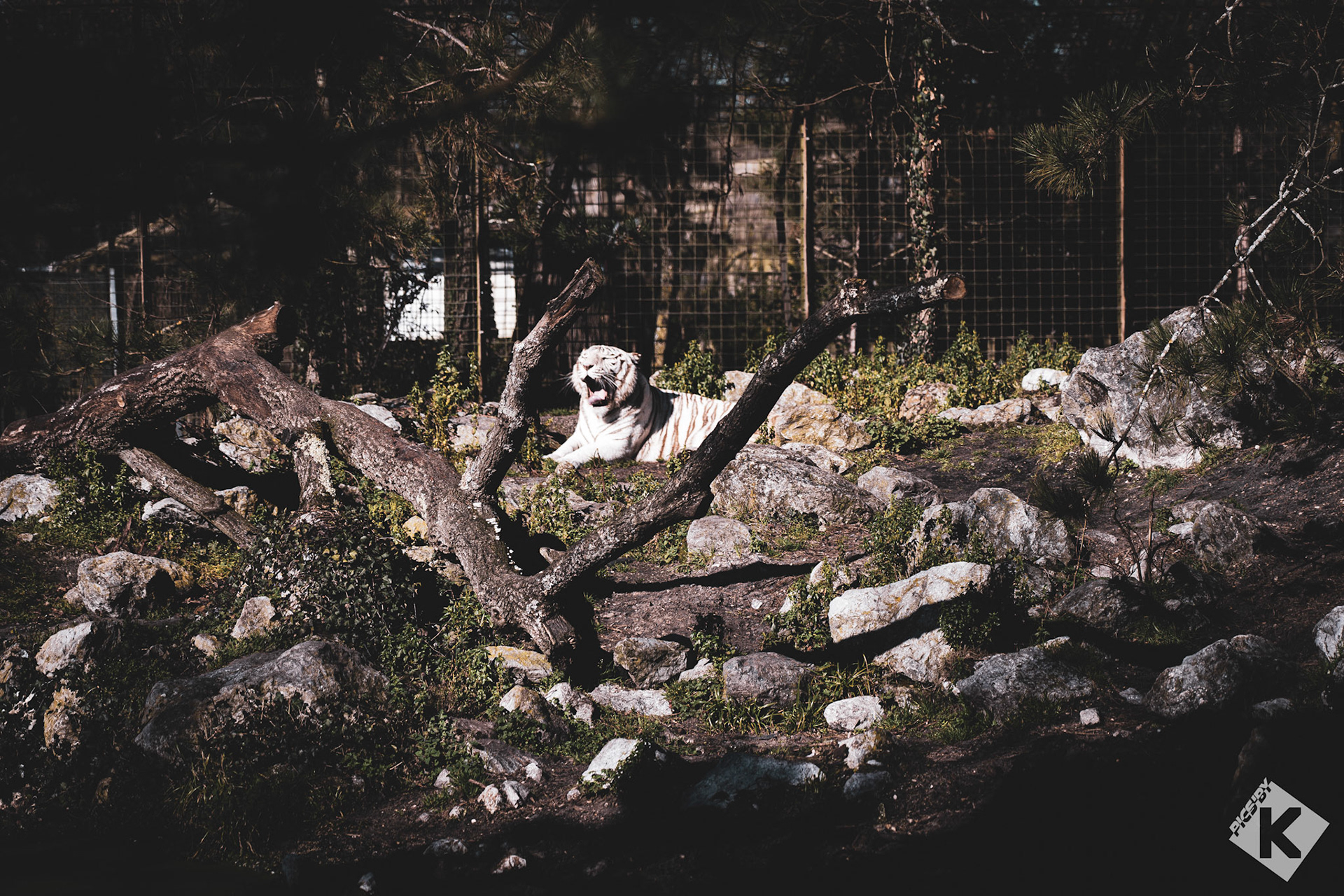 Zoo de Pessac