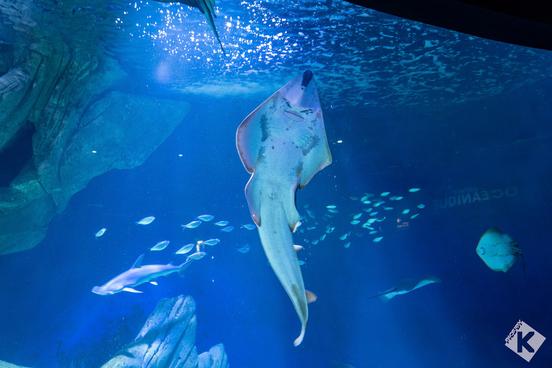 Aquarium de la Rochelle
