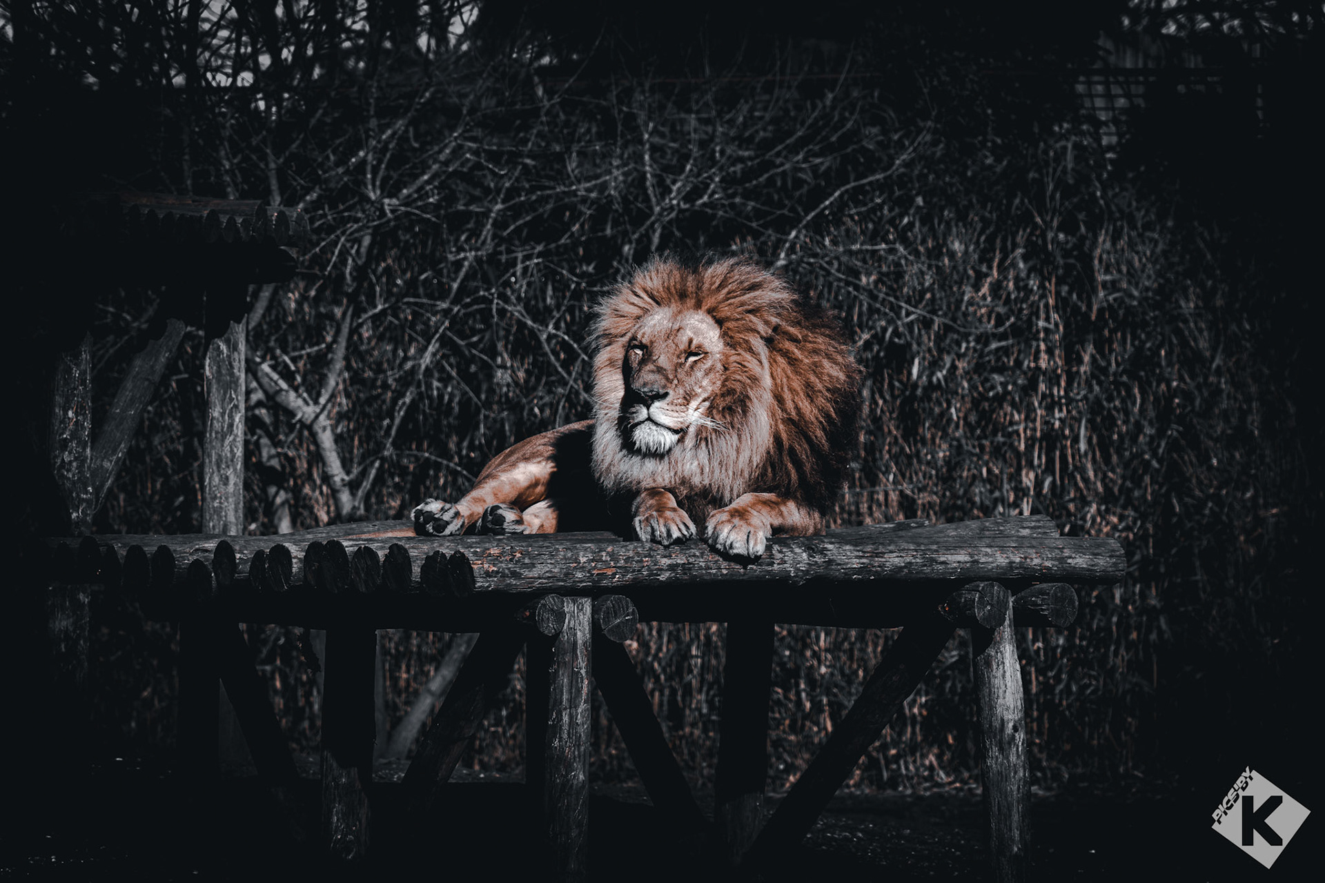 Zoo de Pessac