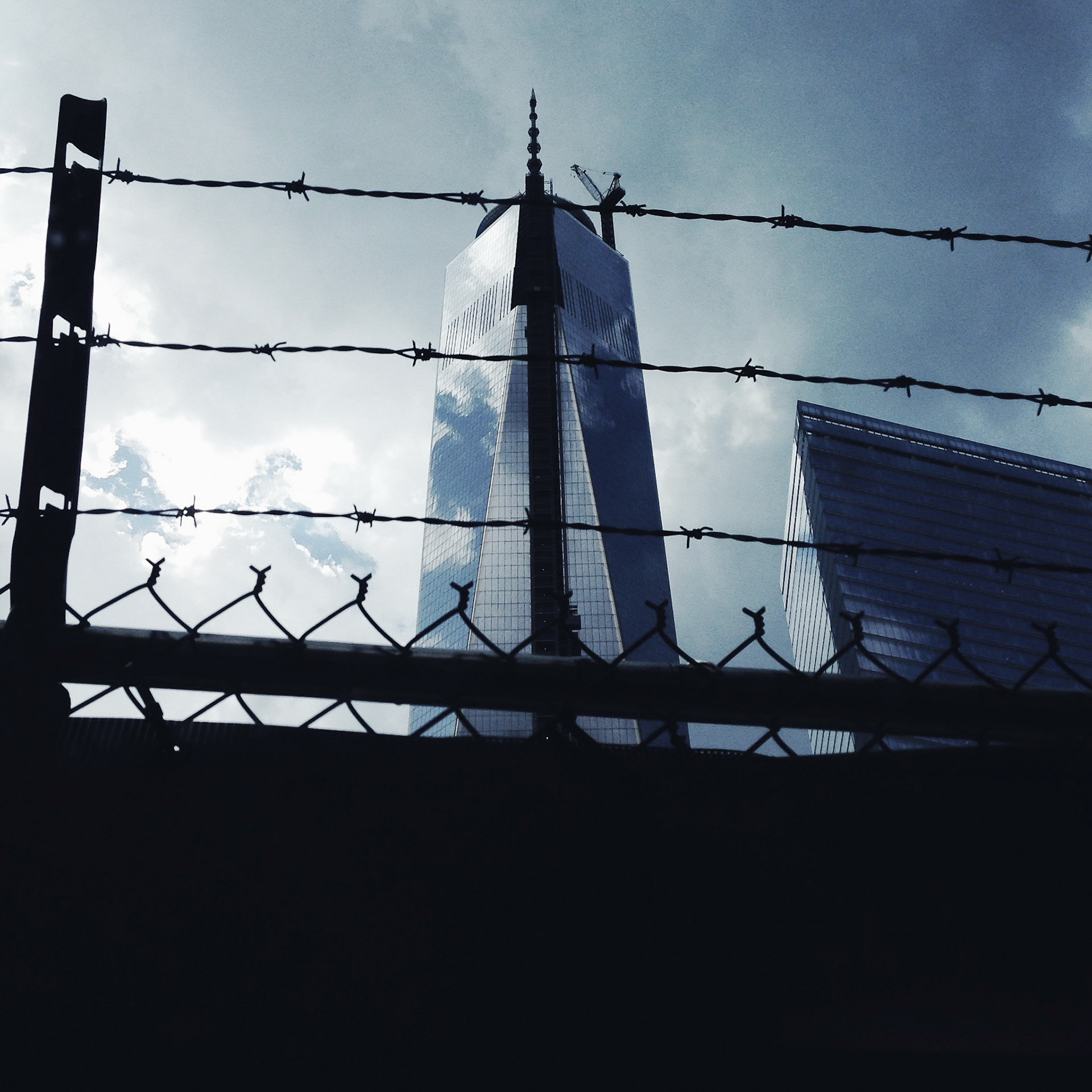 Freedom