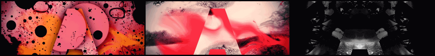 ARMIN ONLY Embrace Video Content Package