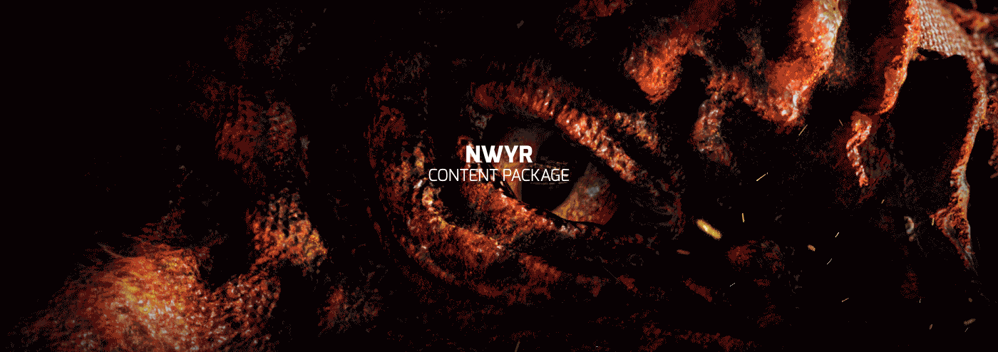 W&W's NWYR Video Content Package