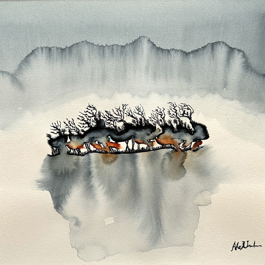 The Island