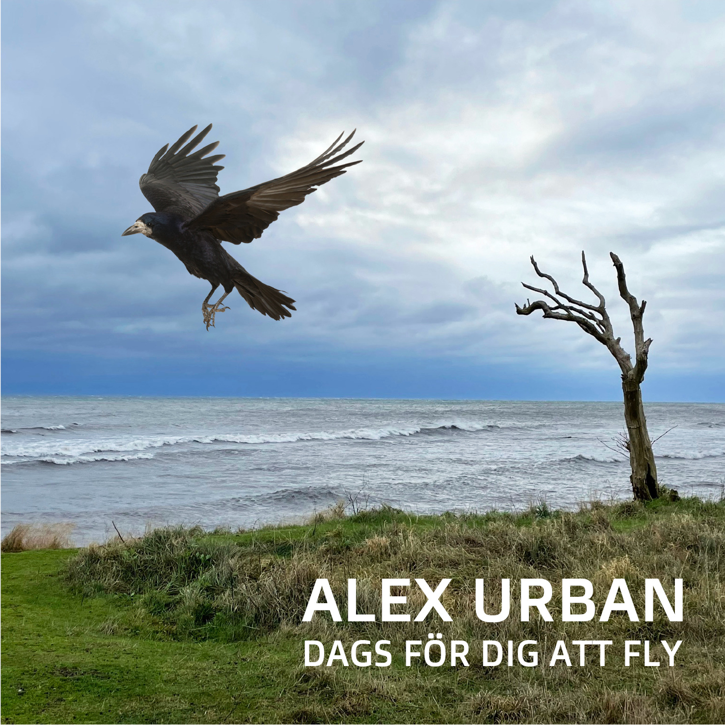 Dags För Dig Att Fly