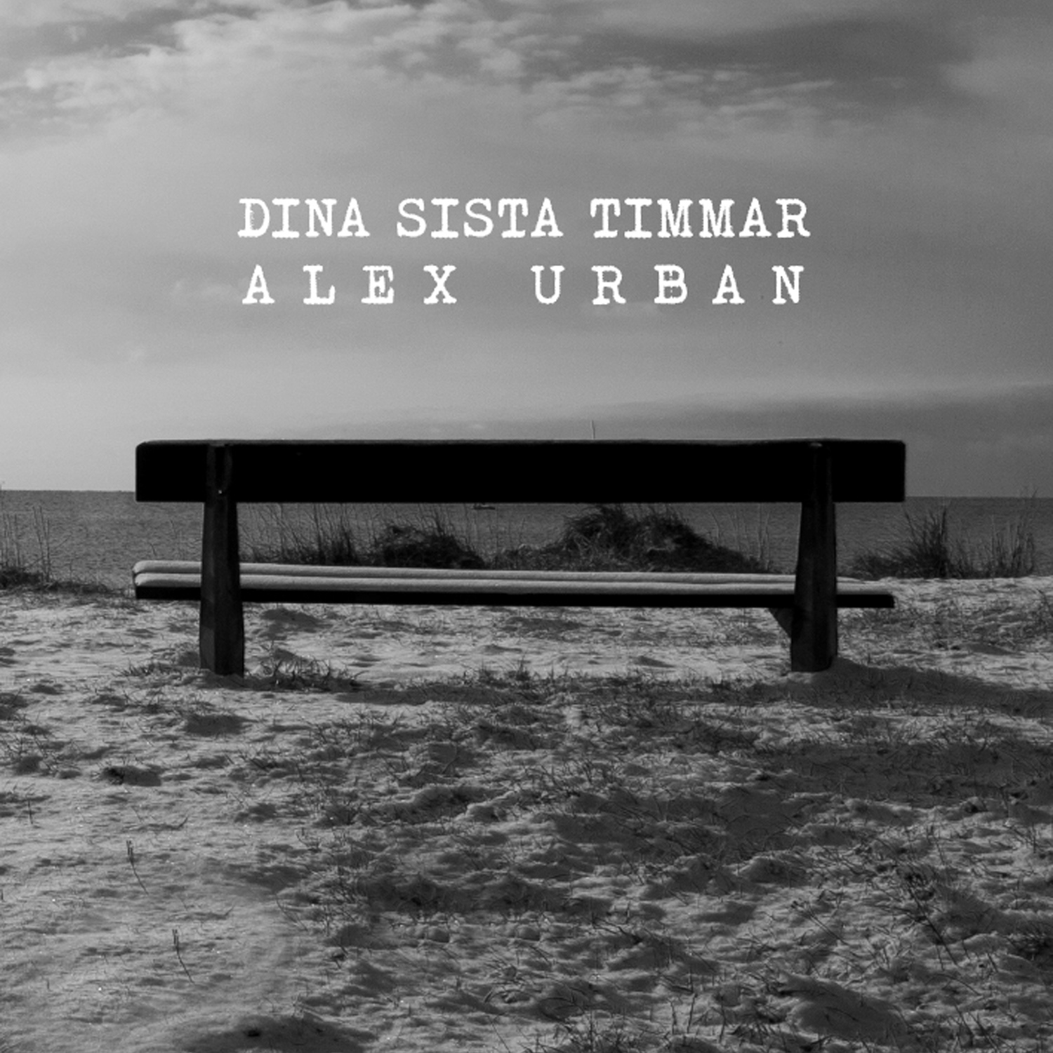 Dina Sista Timmar