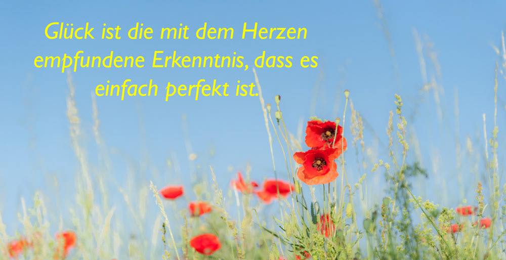 Mohnblume, Blumen, Glück, Feng Shui, Fengshui