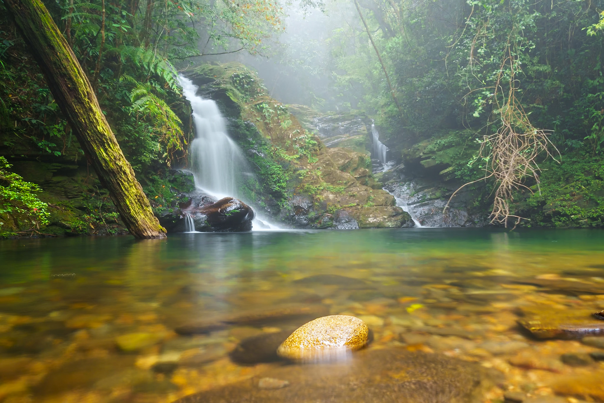 Bach Ma Nationalpark, Vietnam
