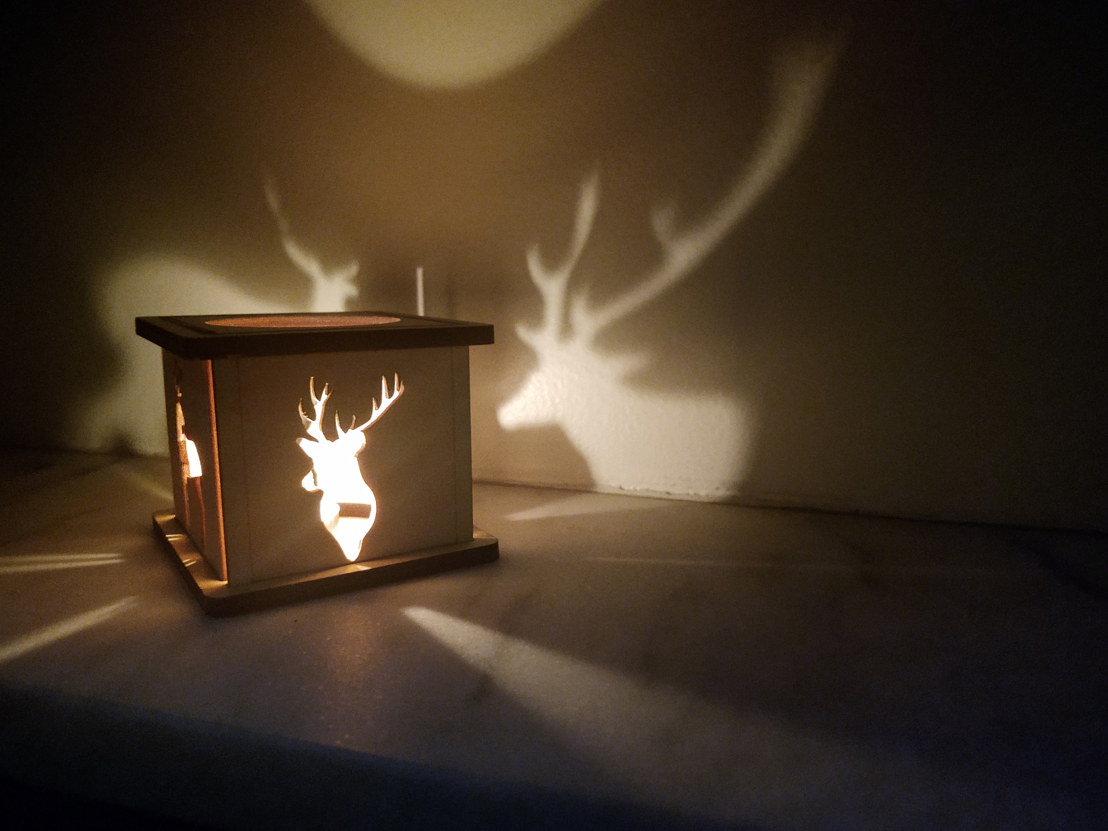 Deer