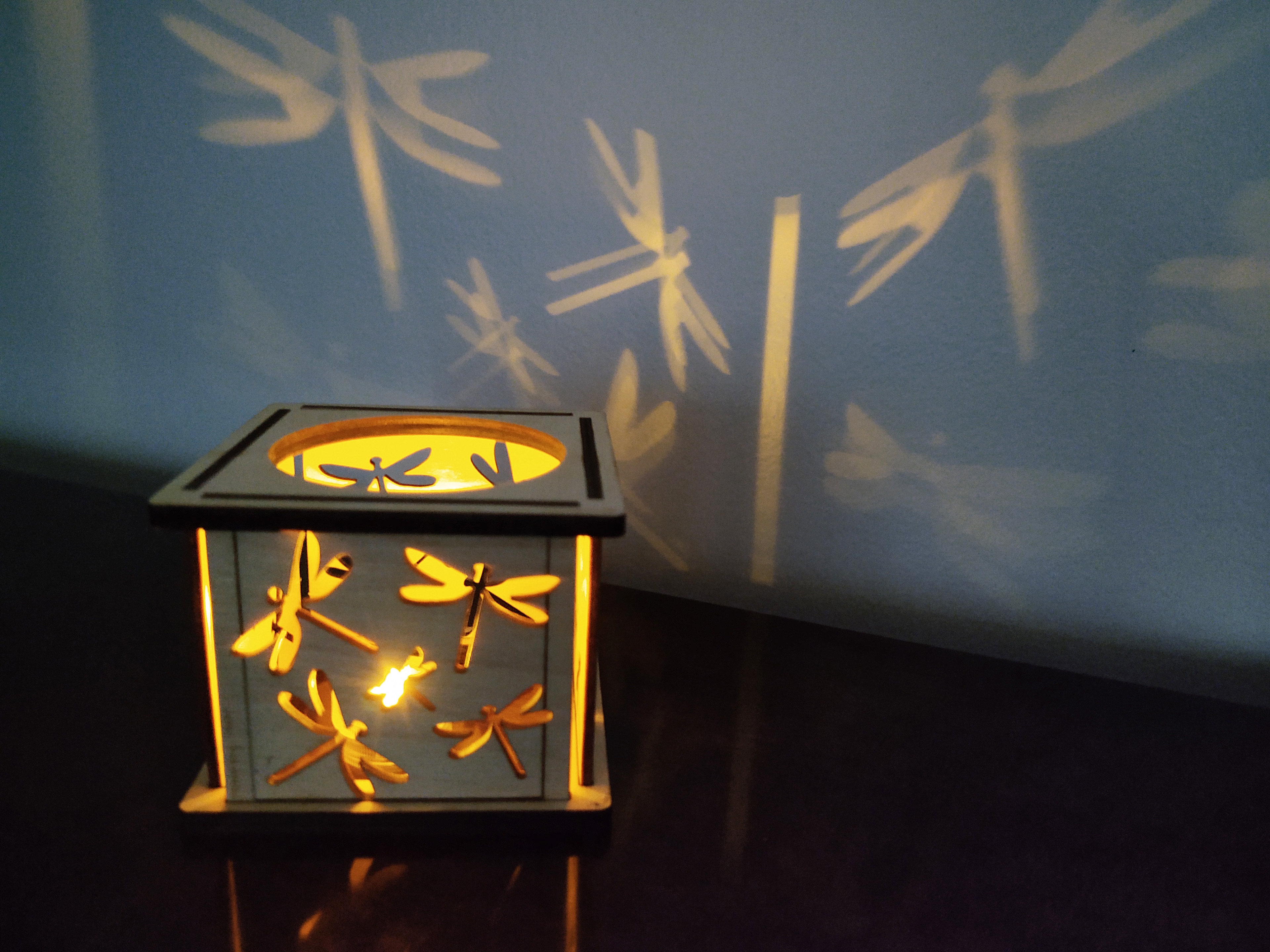 Dragonflies