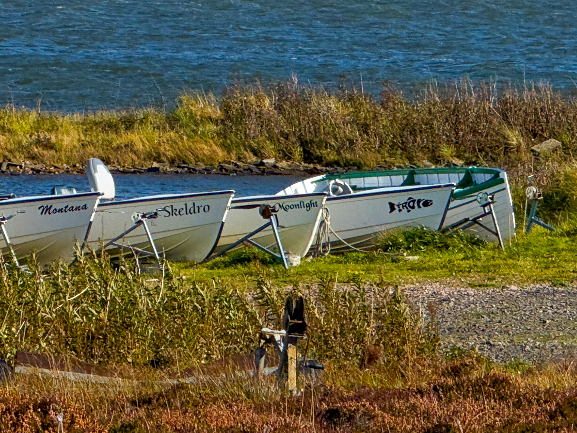 Orkney Island Scotland