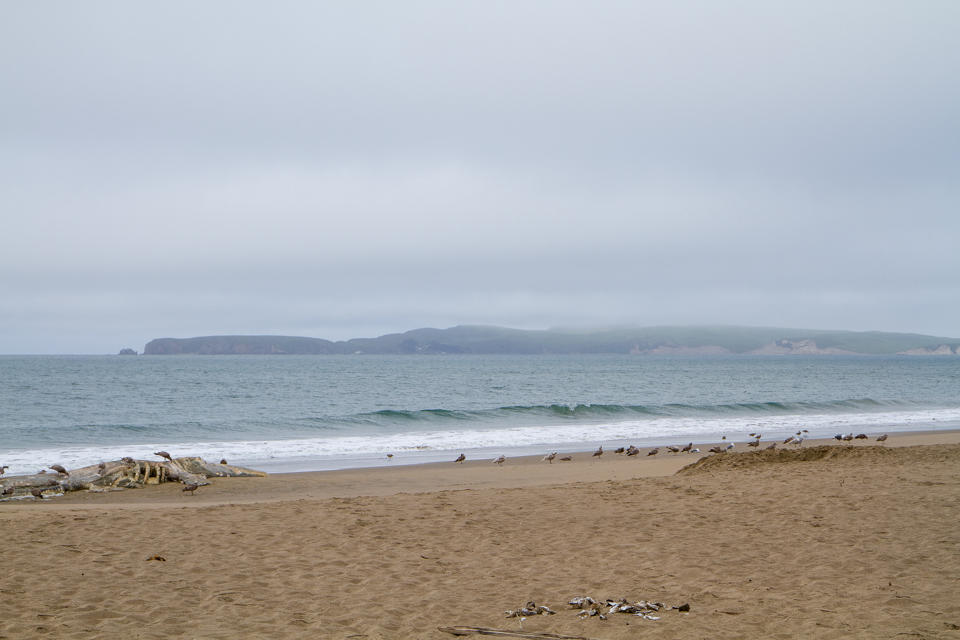 Beach looking to Chimney Rock