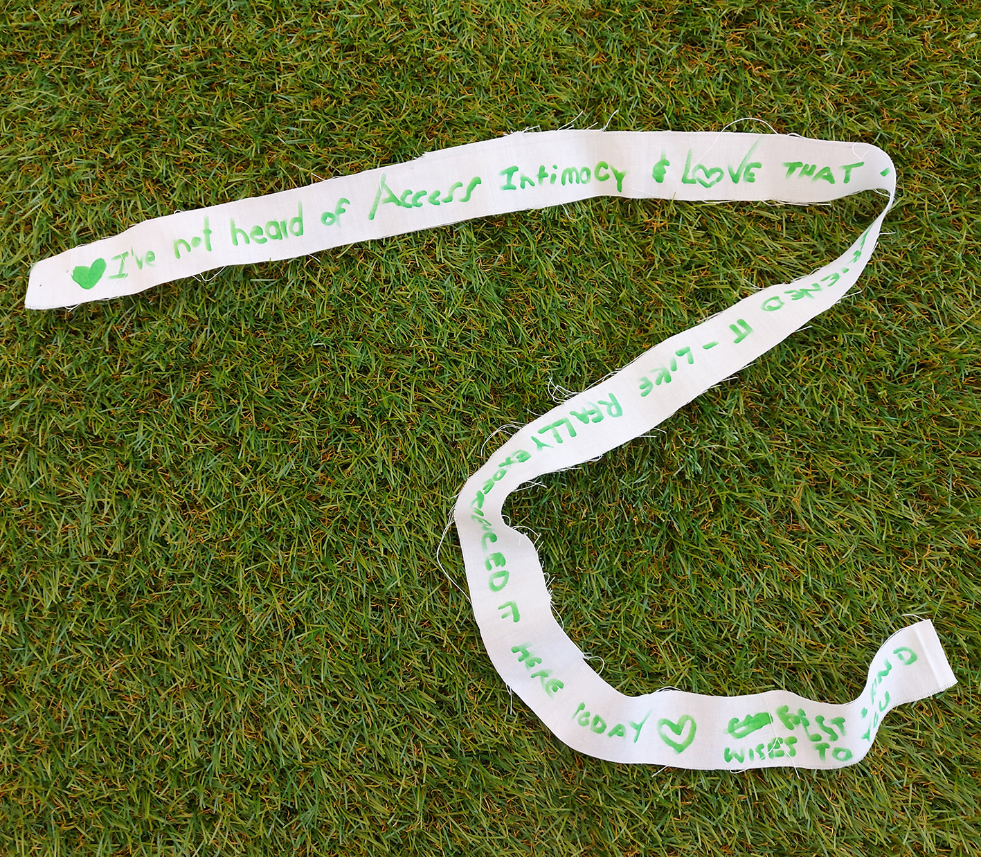 white ribbon with green writing on it, sitting on grass