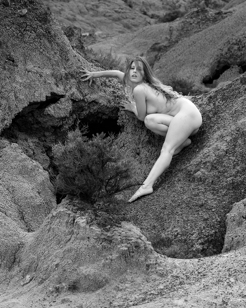 Flos Lunae