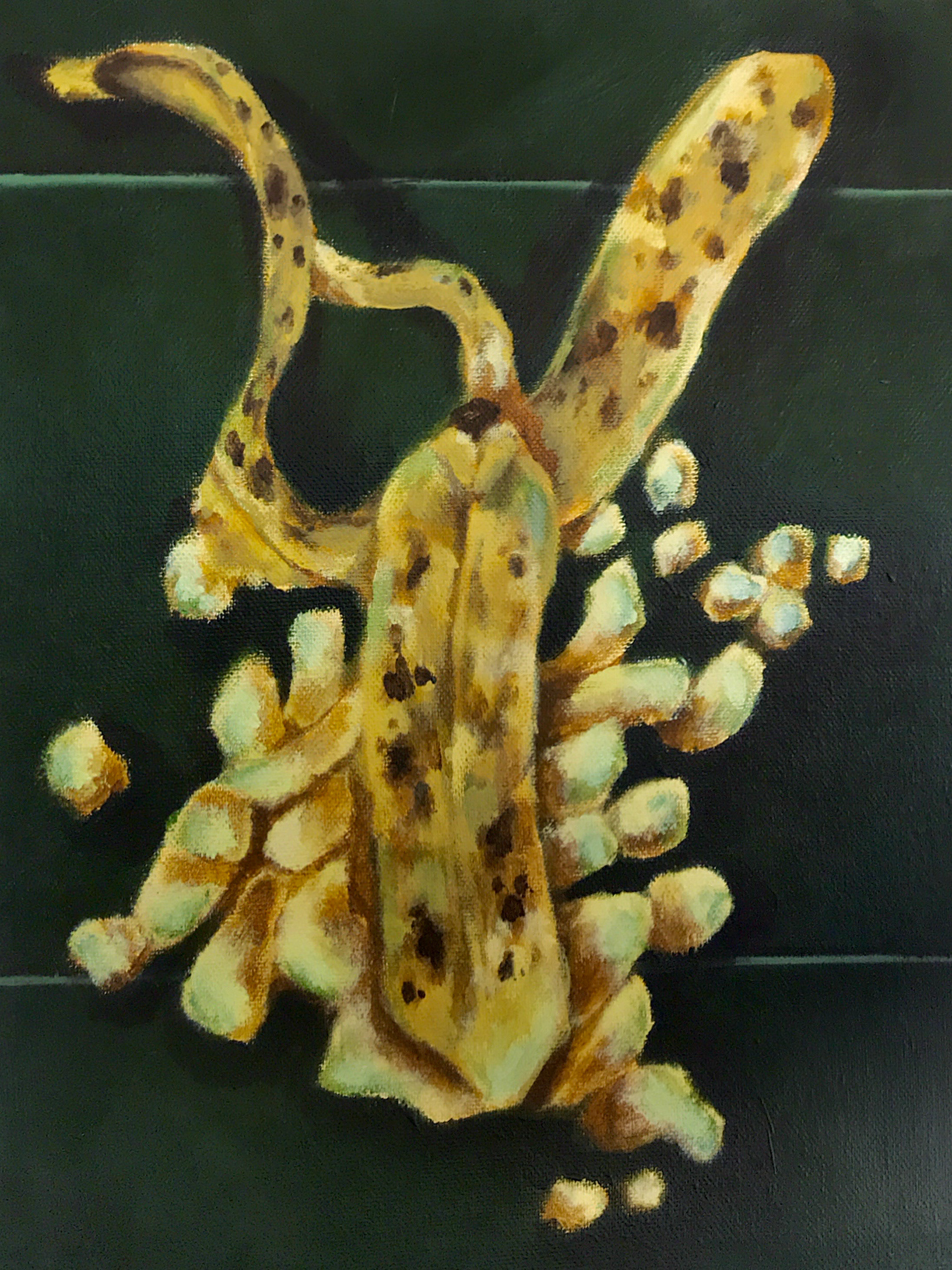 Mashed Banana