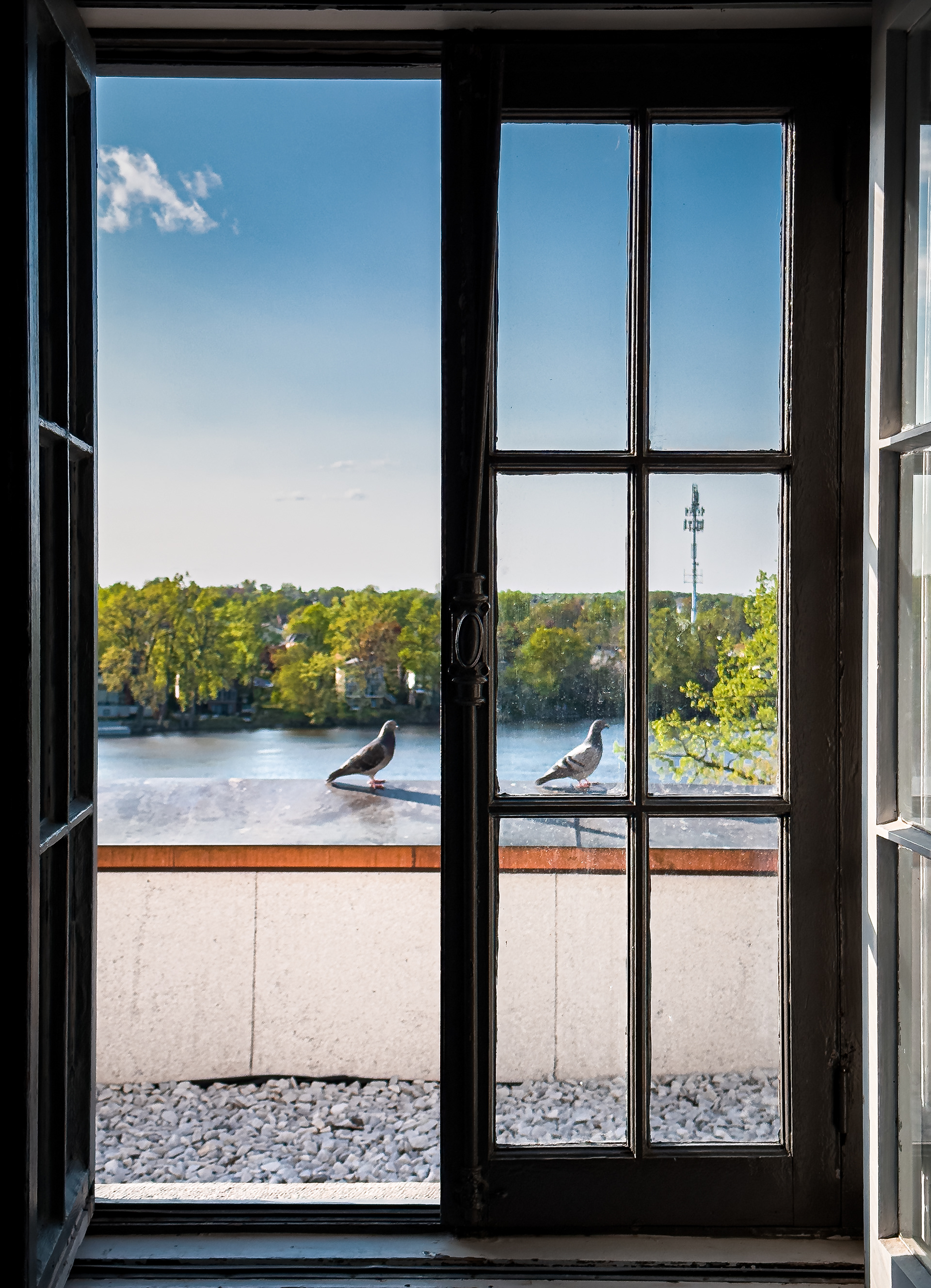 Sainte-Genevieve 2023