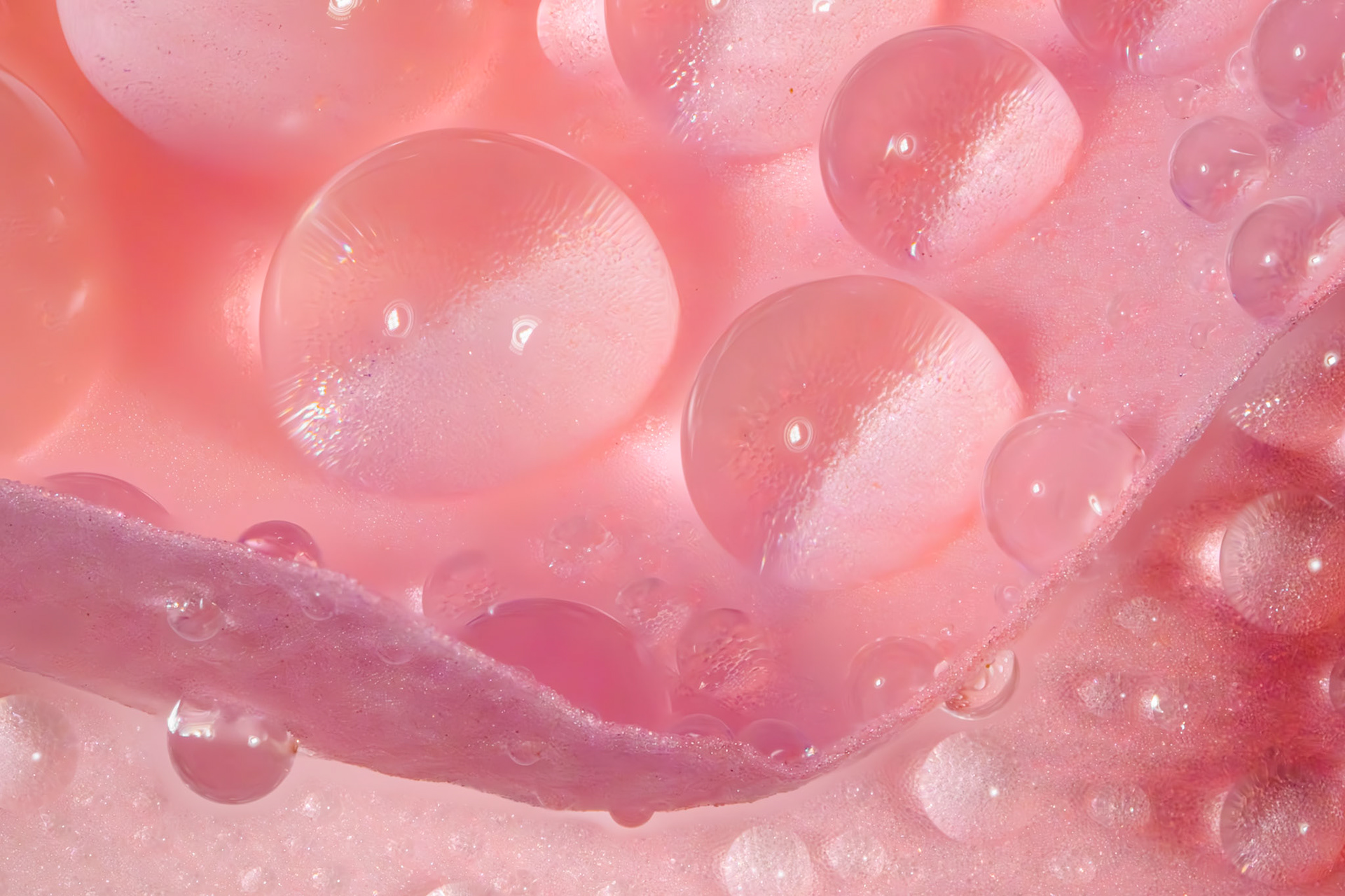 Ultra-macro photo of water droplets on a flower petal. This image is a focus-stack of 31 photos.