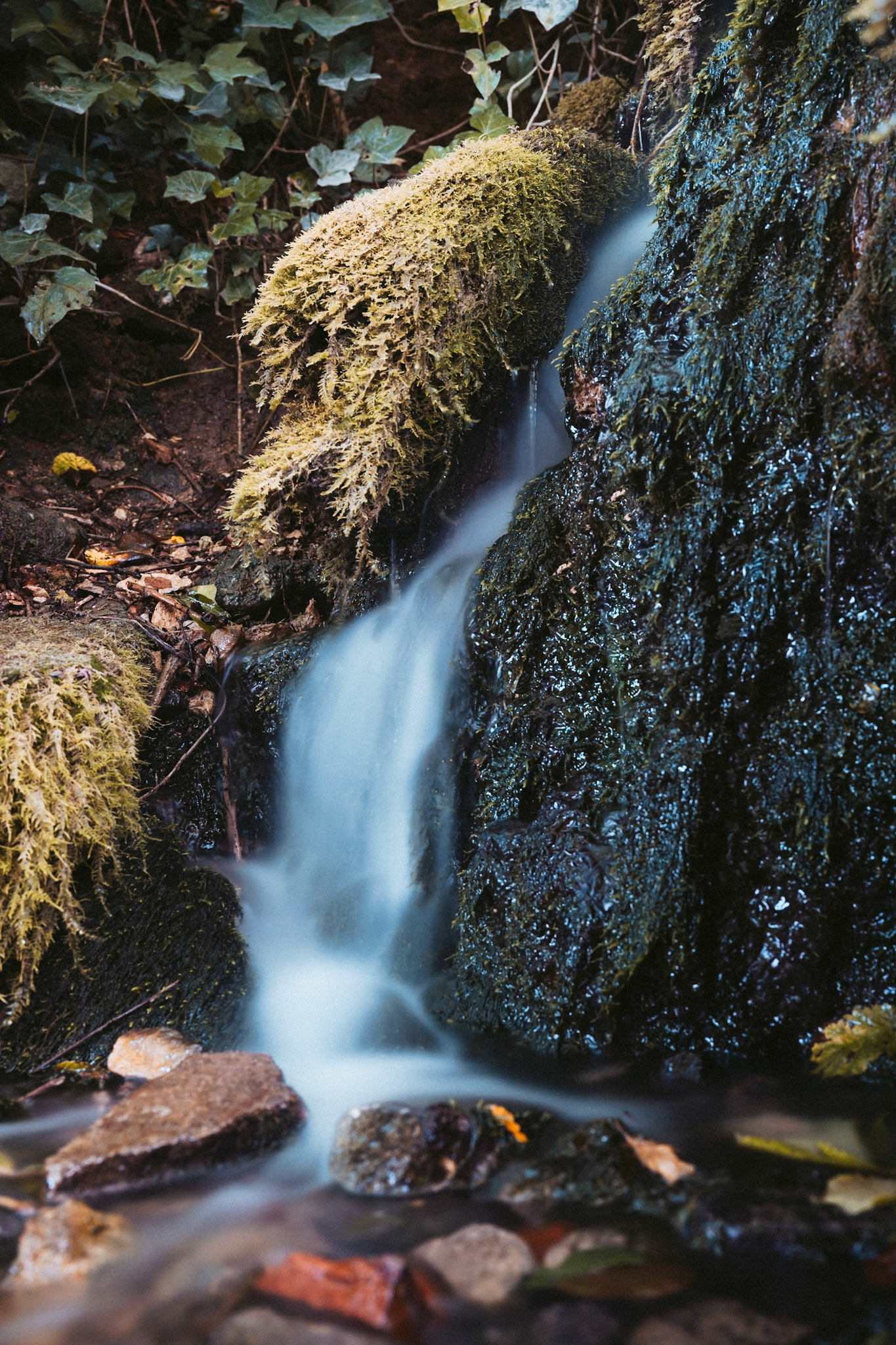 I wanted to try out a new variable neutral density filter, so trekked over to the Tresham Waterfall on the Cotswold Way. "Waterfall" is a very generous description, so to make it look a bit better I put the camera close to the ground (enough to get a little splashed, but Nikon kit is tough). The neutral density filter allowed me to use a long shutter speed, which makes the flowing water look quite smooth and dreamy.