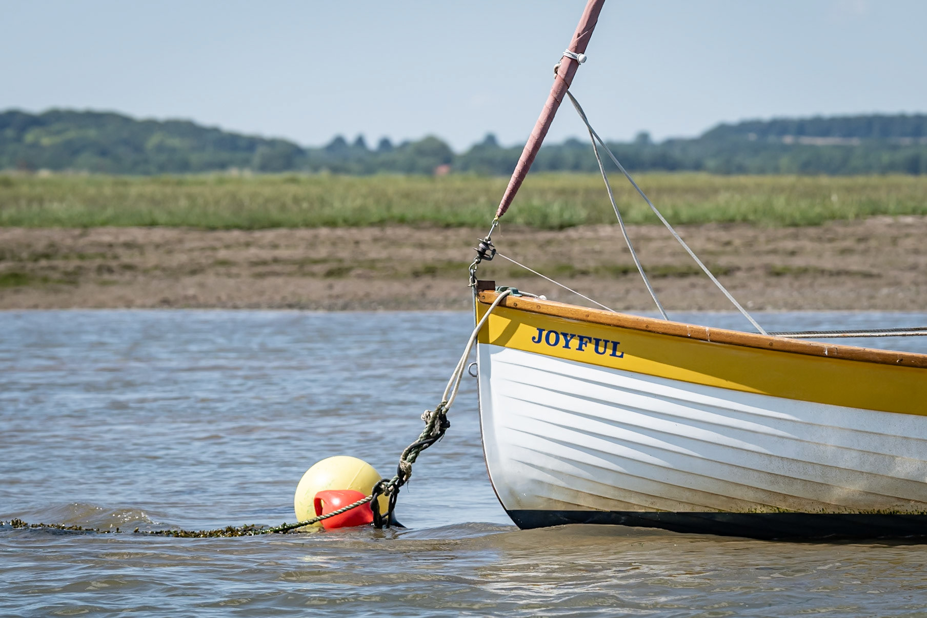 Summer holiday in North Norfolk with Dexter and his family. July 2024.