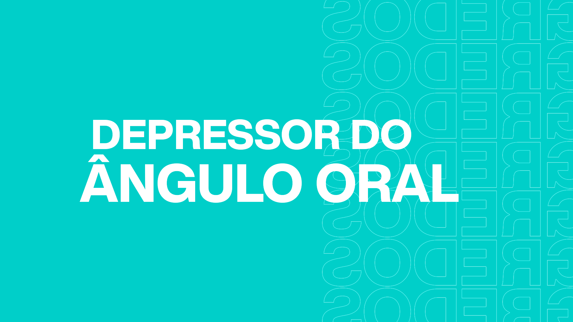 Módulo IV