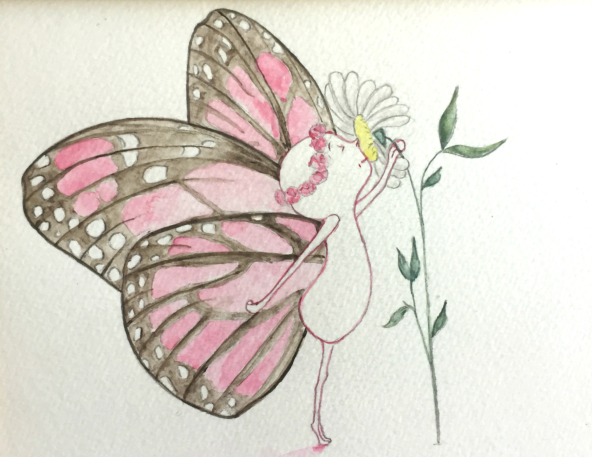 Papillon poête