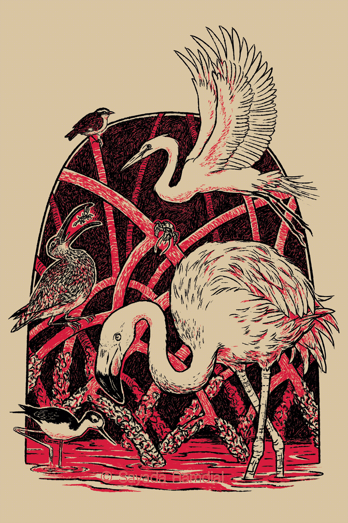 Tshirt design for Bird Collective