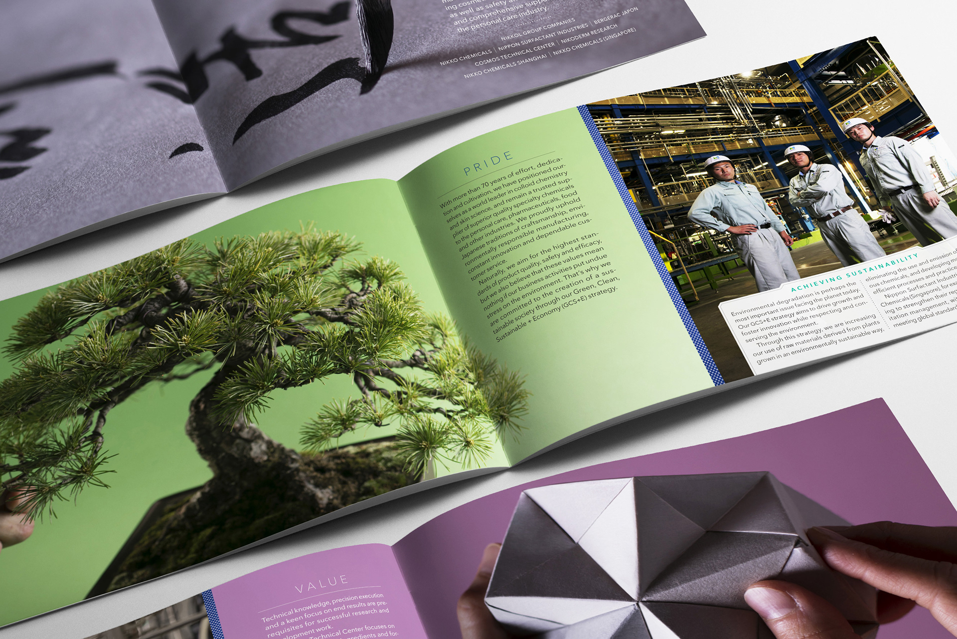 Printed Brochure