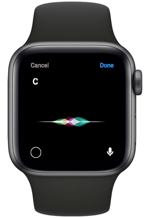Siri funtion